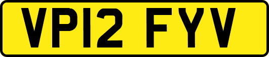 VP12FYV