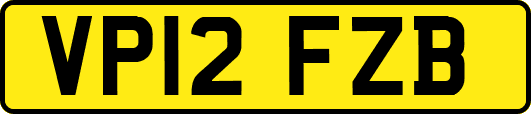 VP12FZB