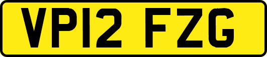 VP12FZG