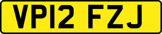 VP12FZJ