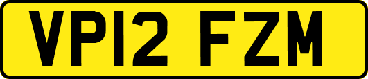 VP12FZM