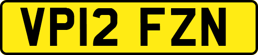 VP12FZN