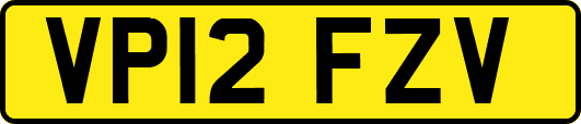 VP12FZV