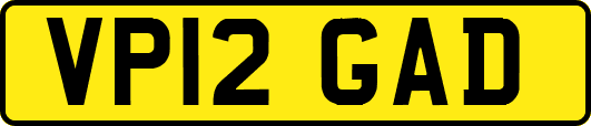VP12GAD