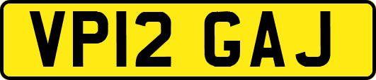 VP12GAJ