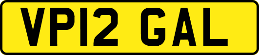 VP12GAL