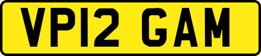 VP12GAM