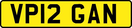 VP12GAN