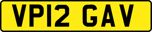 VP12GAV