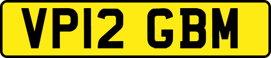 VP12GBM