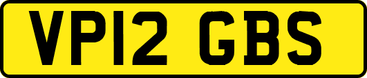 VP12GBS