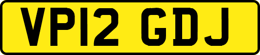 VP12GDJ