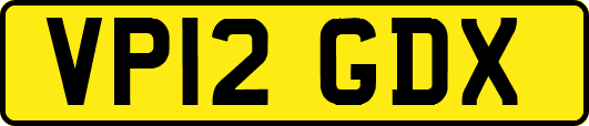 VP12GDX