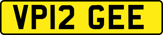 VP12GEE
