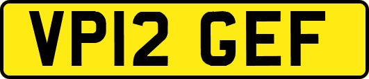 VP12GEF
