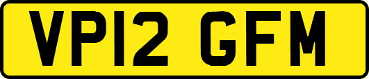VP12GFM