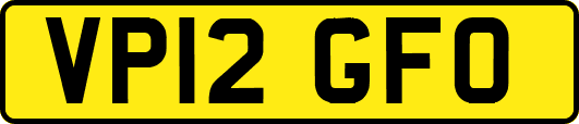 VP12GFO