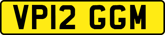 VP12GGM