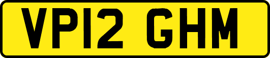 VP12GHM
