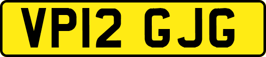 VP12GJG