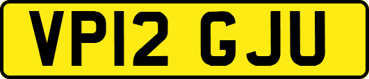 VP12GJU