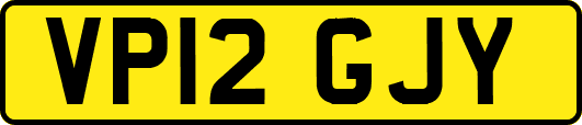 VP12GJY