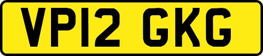 VP12GKG
