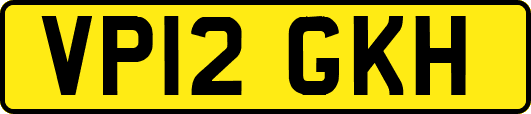 VP12GKH