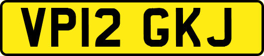 VP12GKJ