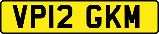 VP12GKM