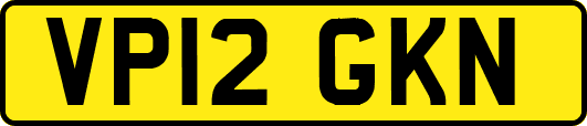 VP12GKN