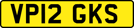 VP12GKS