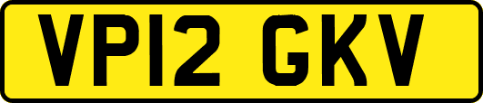 VP12GKV