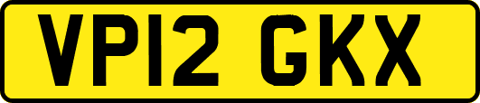 VP12GKX
