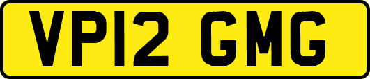 VP12GMG