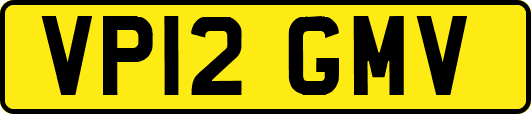 VP12GMV