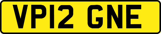 VP12GNE
