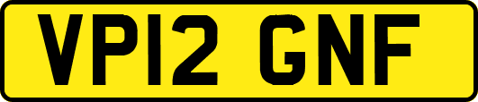 VP12GNF
