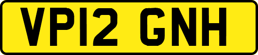 VP12GNH