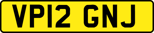 VP12GNJ