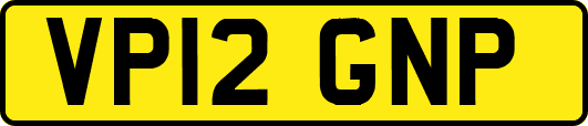 VP12GNP