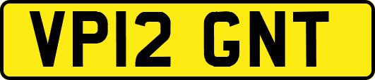 VP12GNT