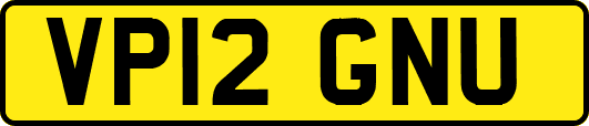 VP12GNU