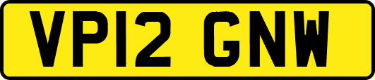 VP12GNW