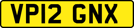VP12GNX