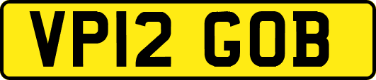 VP12GOB