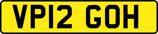 VP12GOH