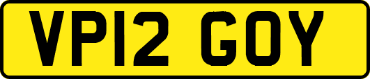VP12GOY