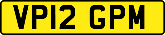 VP12GPM