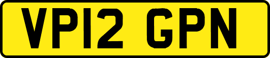 VP12GPN